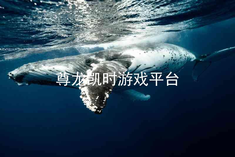 尊龙凯时游戏平台